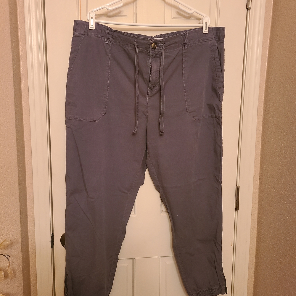 Sonoma Gray Jogger Pants